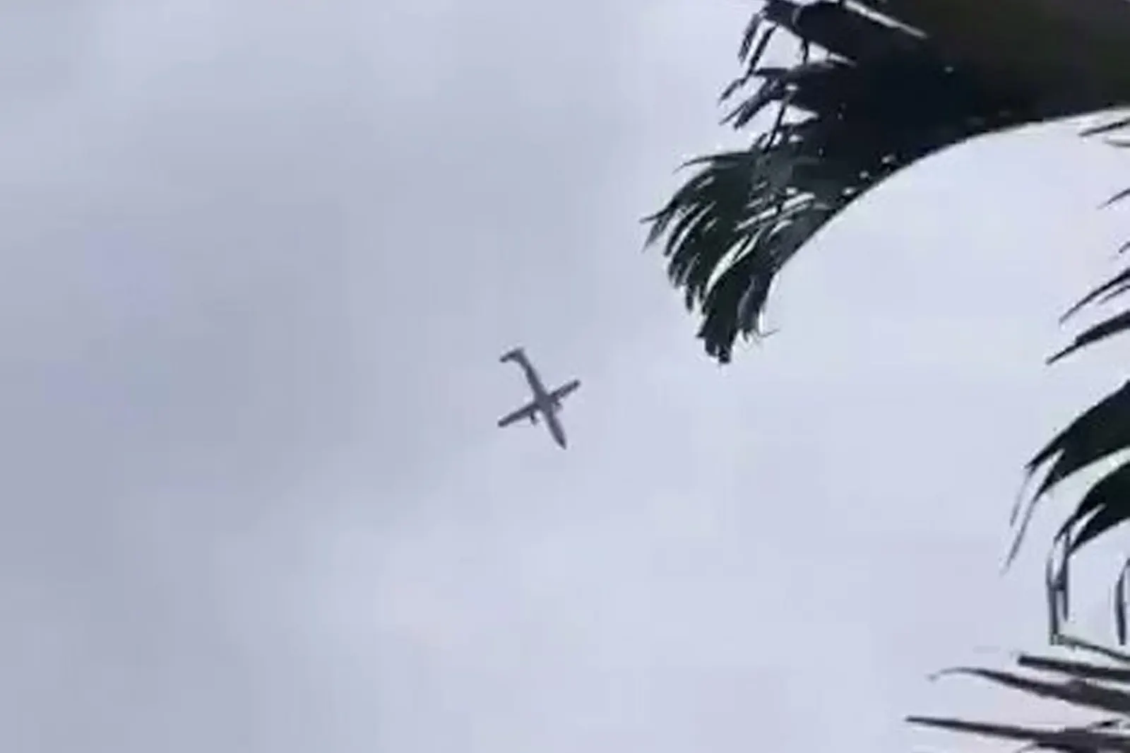 لا ناجين.. ما نعرفه عن حادث تحطم طائرة البرازيل