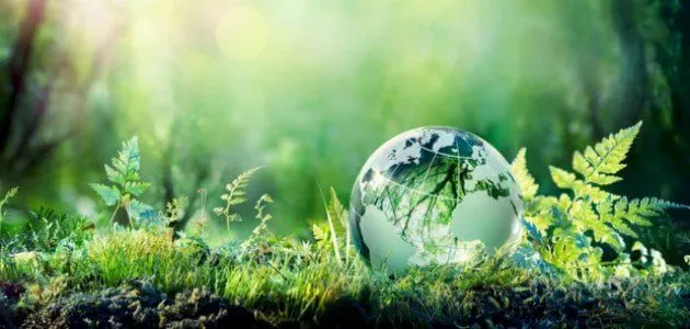 إحصاءات البيئة المنزلية في المملكة خلال 2023