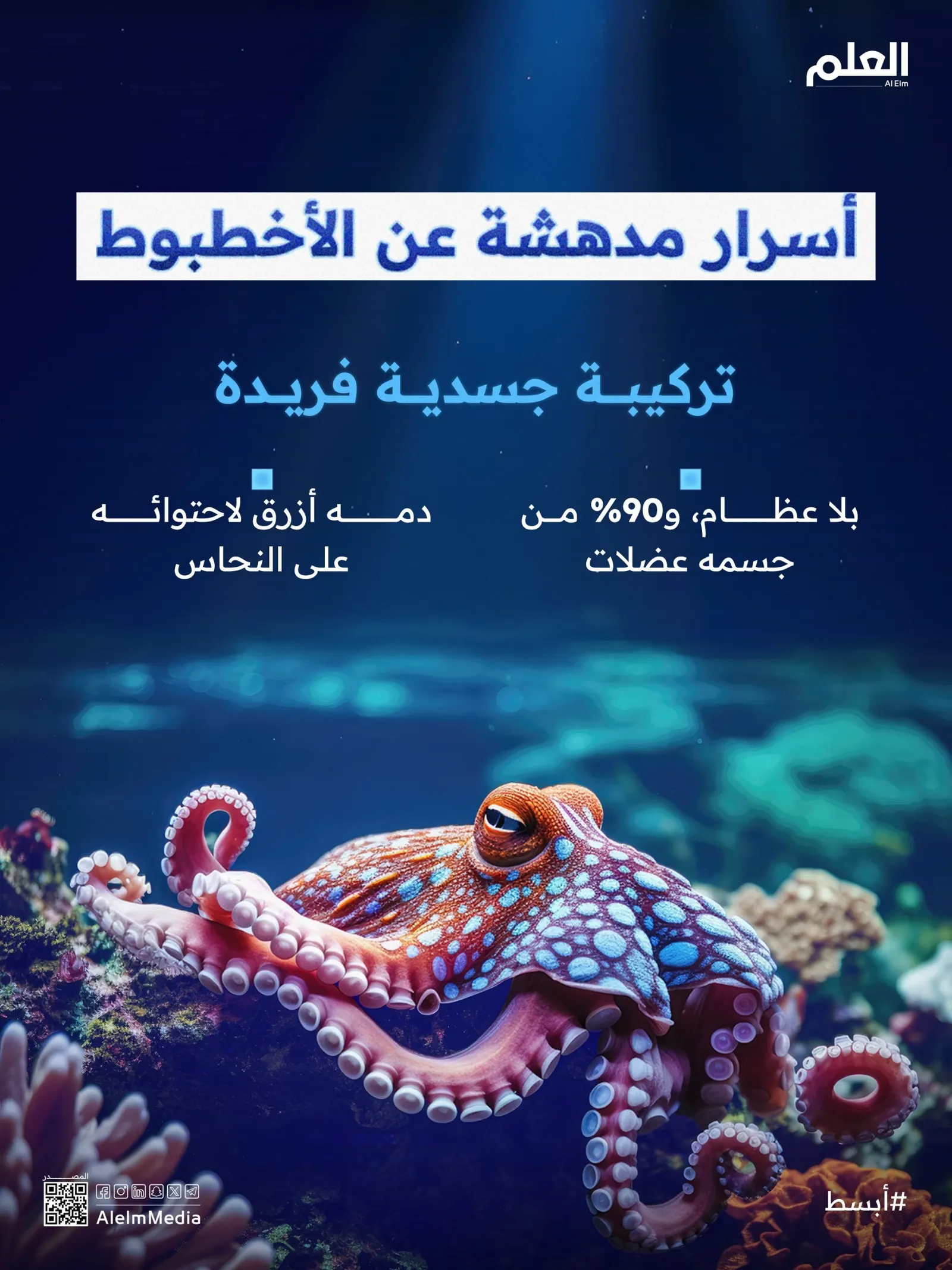 إنفوجرافيك| أسرار مدهشة عن الأخطبوط