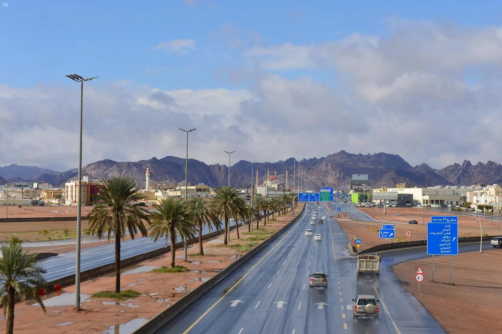 حائل.. موطن لثروات معدنية نفيسة