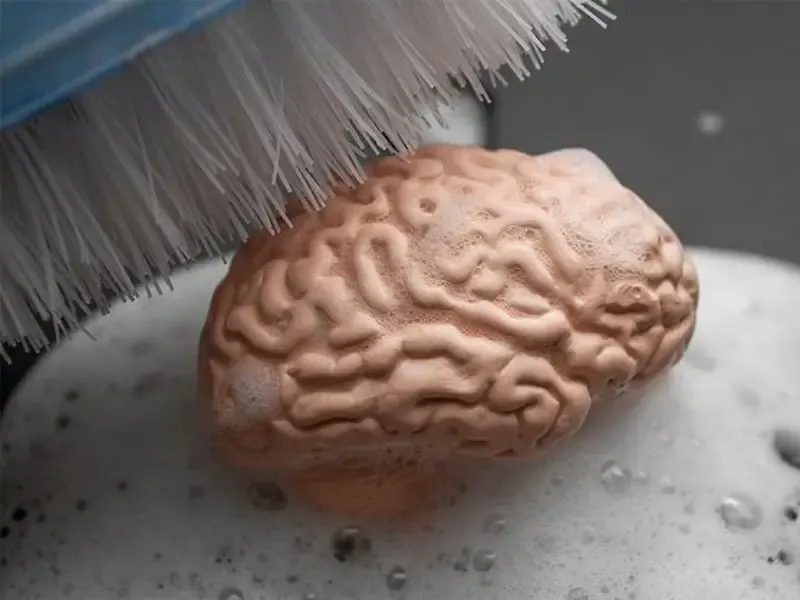 سر خفي لتنظيف الدماغ.. فما هو؟
