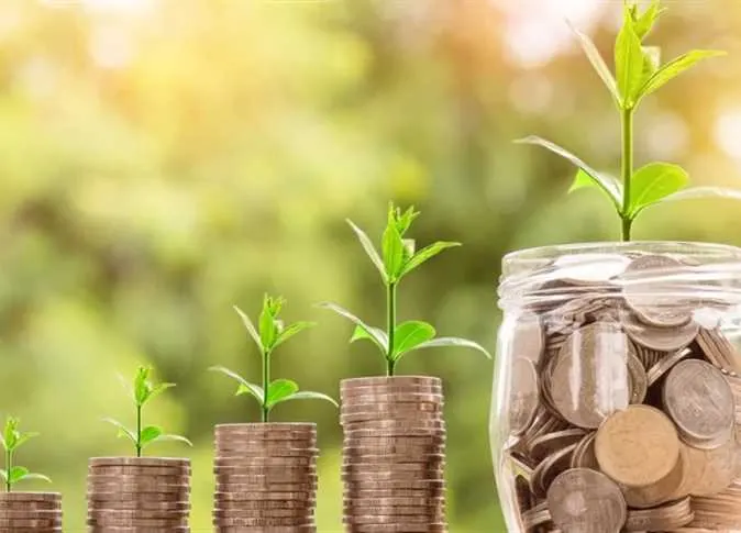 20 طريقة لزيادة دخلك في 2023