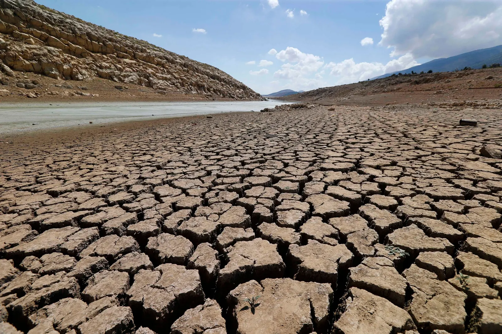 من بينها أغلب الدول العربية.. خريطة تتوقع أماكن شح المياه عام 2050