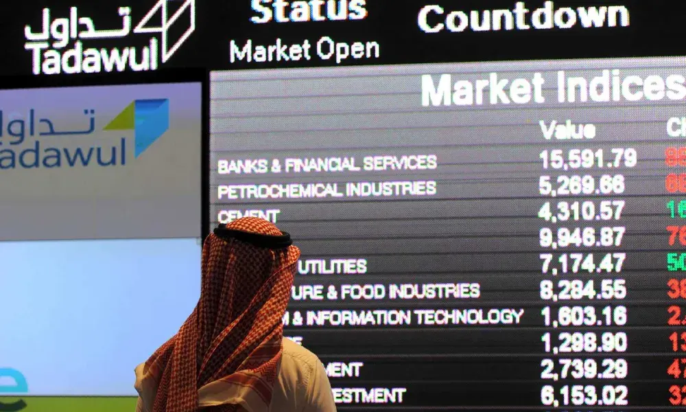 اكتتابات "تاسي" 2025.. صعود قياسي وانخفاضات حادة