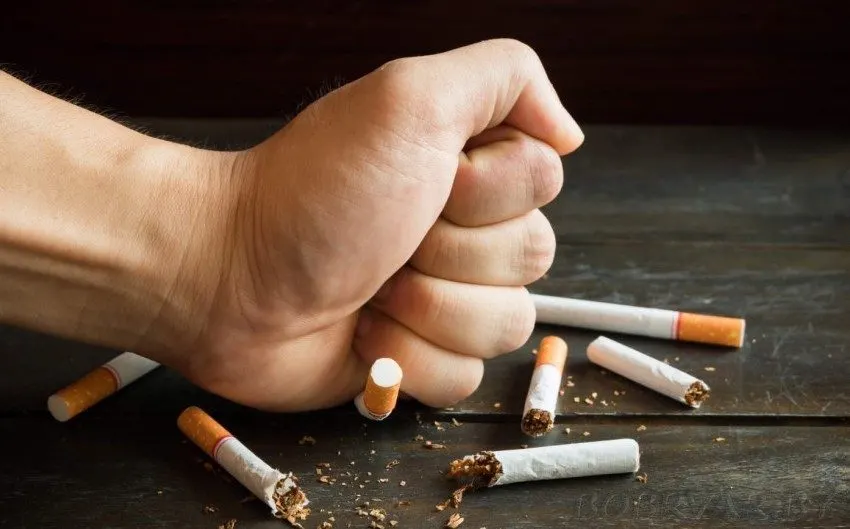 لماذا أنشأ صندوق الاستثمارات العامة شركة "بدائل"؟