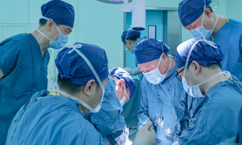 علماء يزرعون رئة خنزير في جسم إنسان لأول مرة