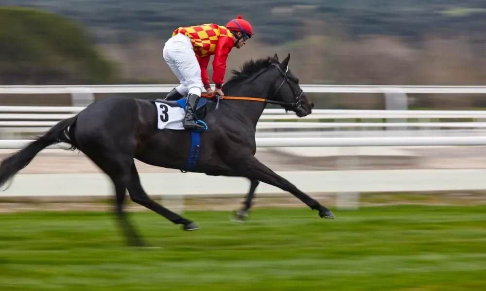 إنفوجرافيك| سباقات الخيل الأكثر ربحية في العالم