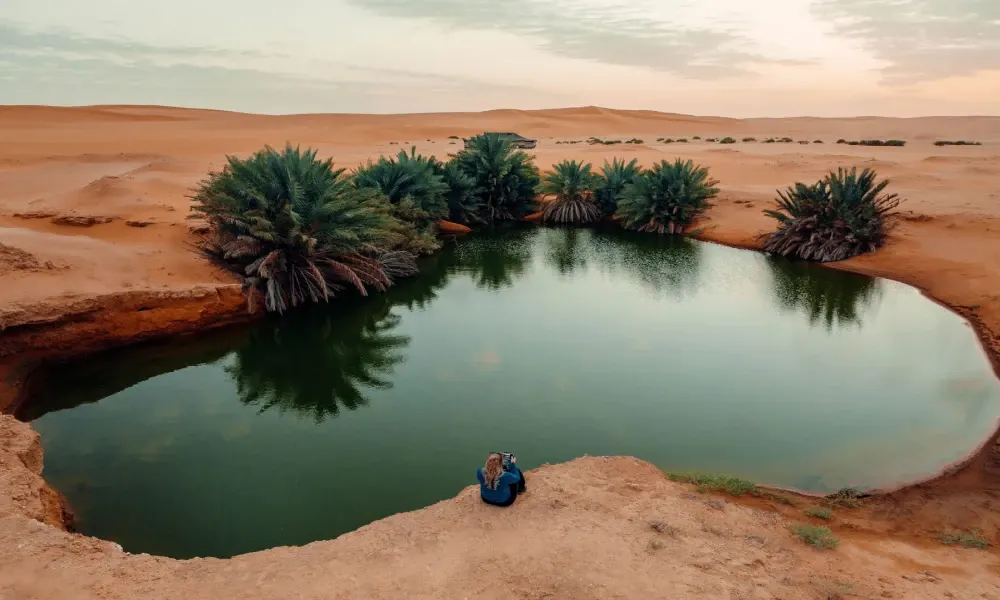 قبل 8 ملايين سنة.. دراسة تكشف أسرارًا عن مناخ المملكة