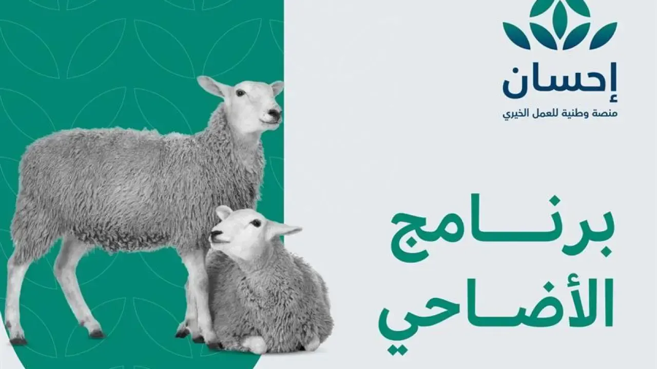 بدأ في استقبال الطلبات.. ما هو برنامج الأضاحي التابع لمنصة إحسان؟