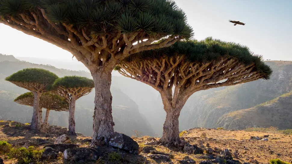 بعضها يشبه الكواكب في الفضاء الخارجي.. أغرب الأماكن على الأرض