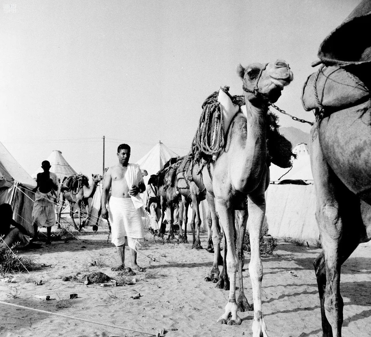 فيديو نادر لرحلة بعثة مصرية إلى الحج قبل 84 عاماً