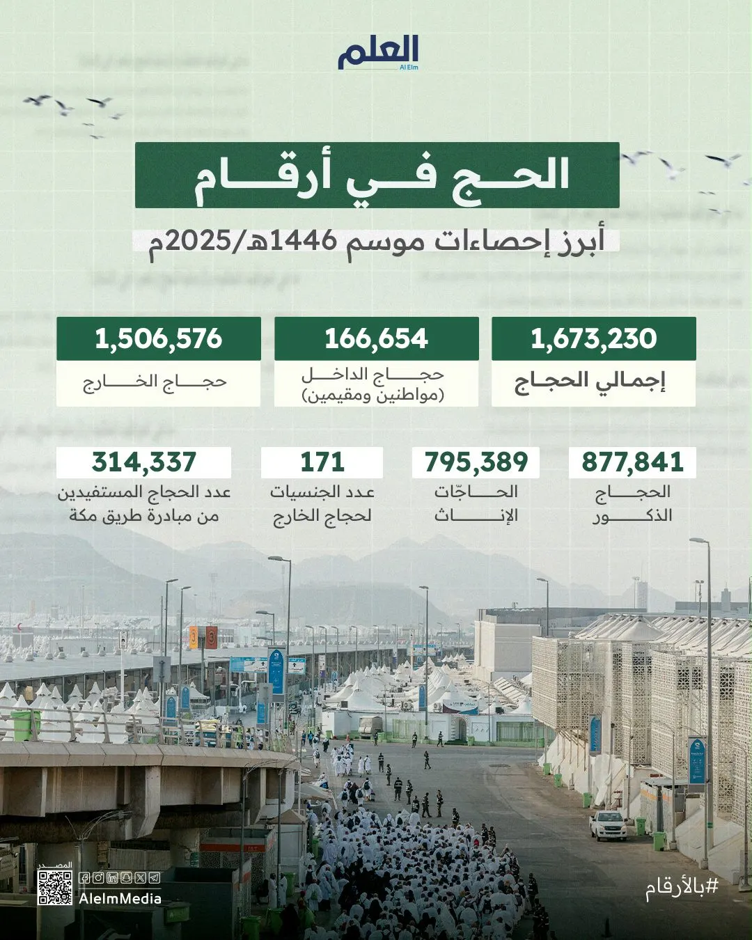 إنفوجرافيك| الحج في أرقام.. أبرز إحصاءات موسم 1446هـ/2025م