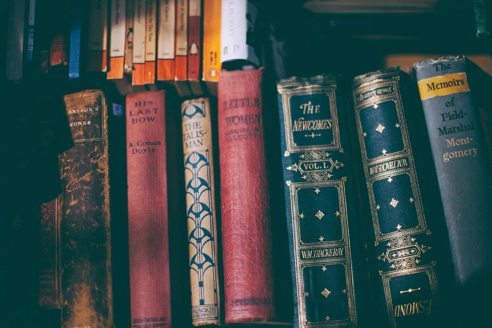تُرجمت لكل اللغات.. أبرز 5 روايات في الأدب الفرنسي