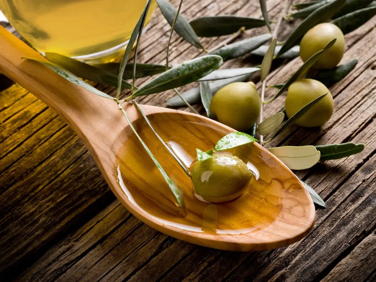 الجوف تتميز في إنتاج الزيتون.. أبرز الأرقام
