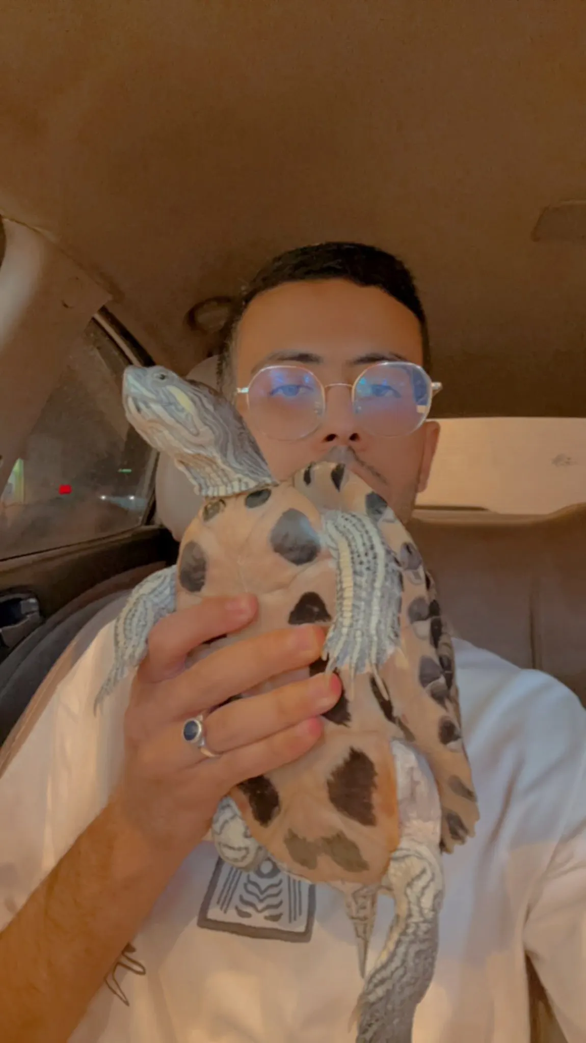 سعودي يحكي كيف يتشارك بيته مع 100 سلحفاة