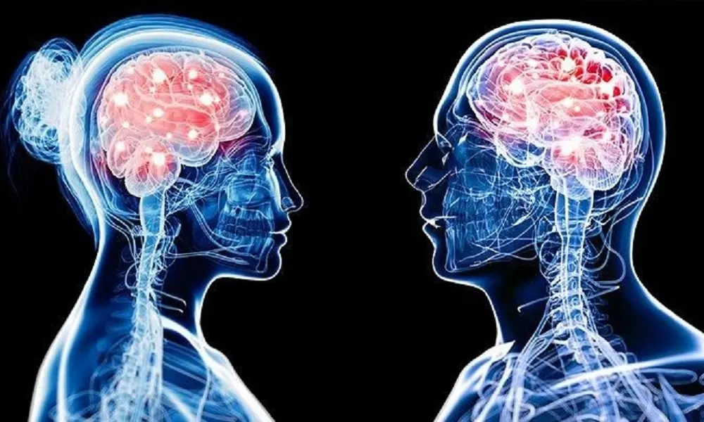 هل هناك حقًا فرق بين أدمغة الرجال والنساء؟