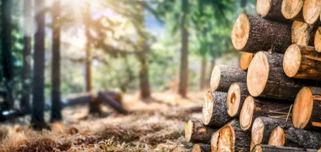 قوة الموارد الطبيعية.. 10 دول بينهم المملكة تتصدر قائمة الأفضل