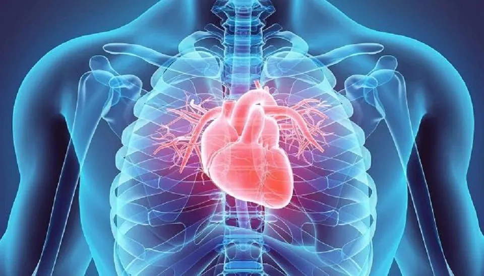 عمليات زراعة القلب وتغير المشاعر.. واقع أم خيال؟