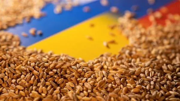 أكثر الدول استيرادًا للمنتجات الزراعية من أوكرانيا عبر مبادرة حبوب البحر الأسود