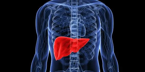 6 خرافات وشائعات عن التهاب الكبد.. تعرف على حقيقتها