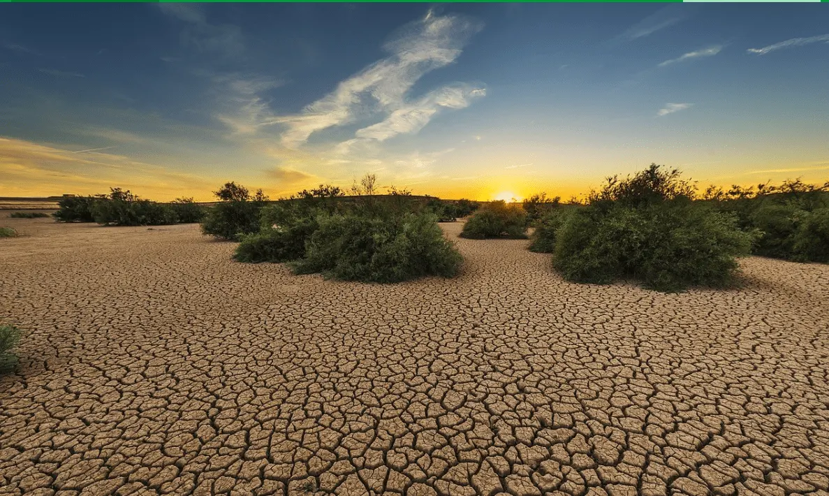 التصحر في السعودية.. سُبل المملكة لمكافحة التهديد العالمي
