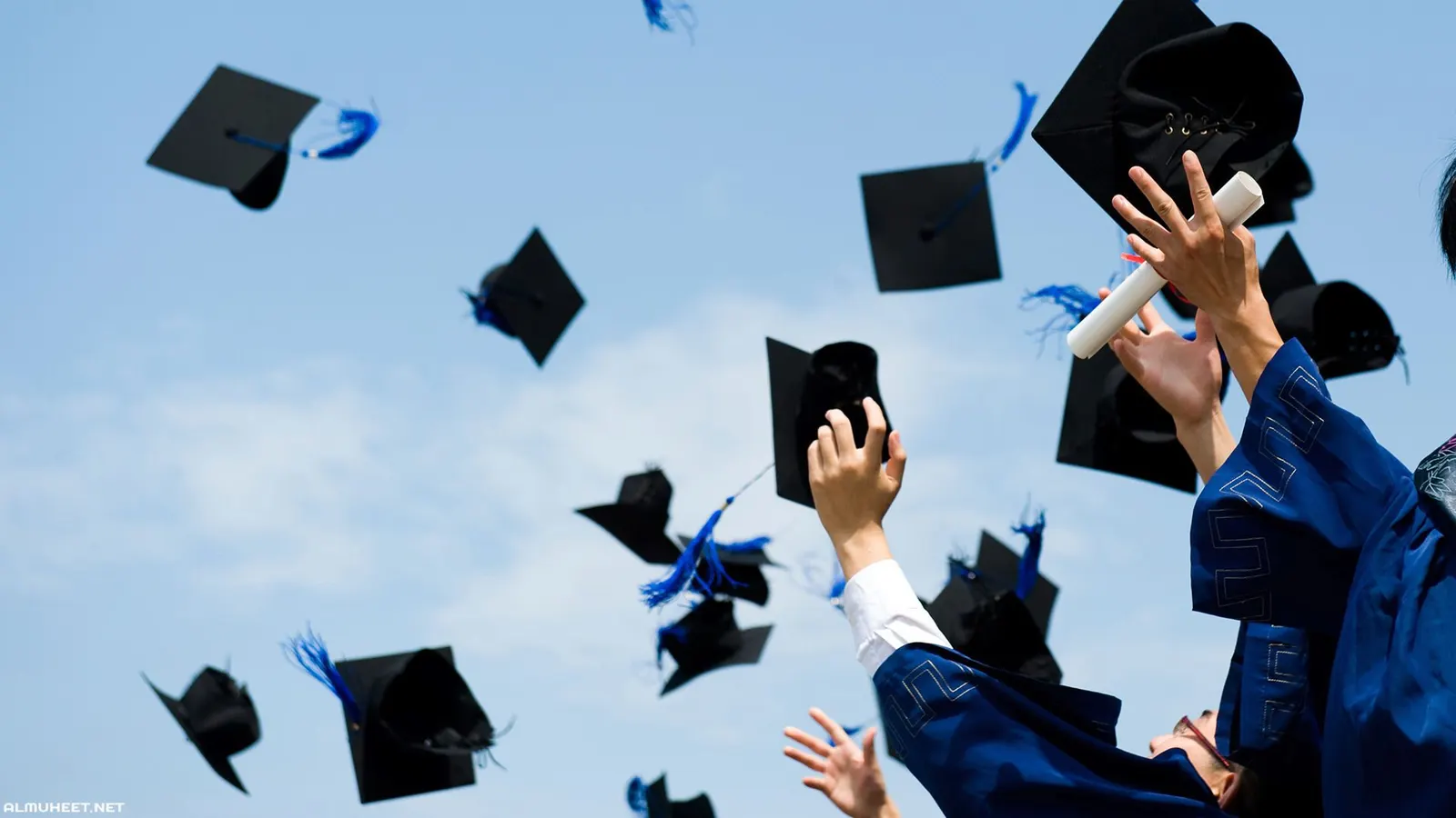 أغلى 10 جامعات في العالم