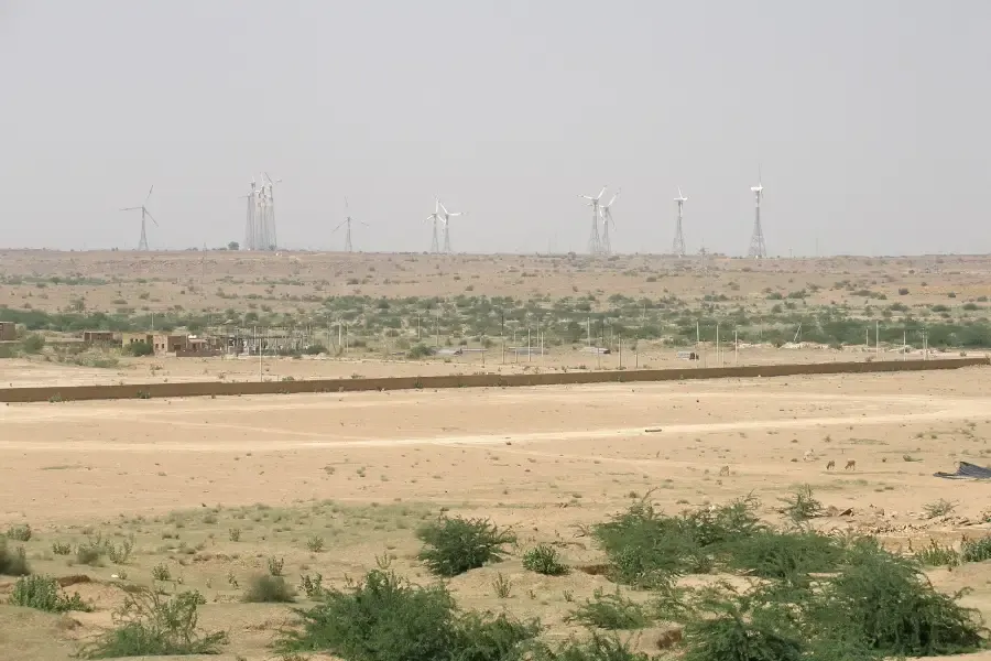 صحراء ثار: التحول من الجفاف إلى الاخضرار!