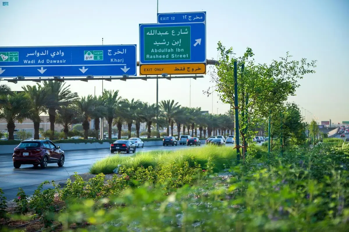 كم بلغ نصيب الفرد من المساحات الخضراء بالمملكة في 2023؟