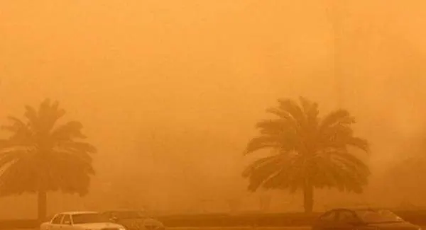 كيف نتجنب مخاطر عواصف الأتربة والغبار؟.. نصائح من الصحة والمرور والهلال الأحمر