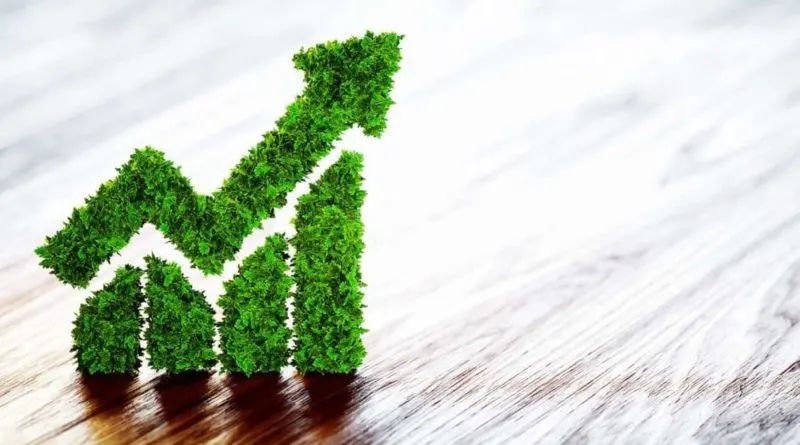 الشركات السعودية الأكثر ابتكارًا في استدامة البيئة والاحتياجات الأساسية