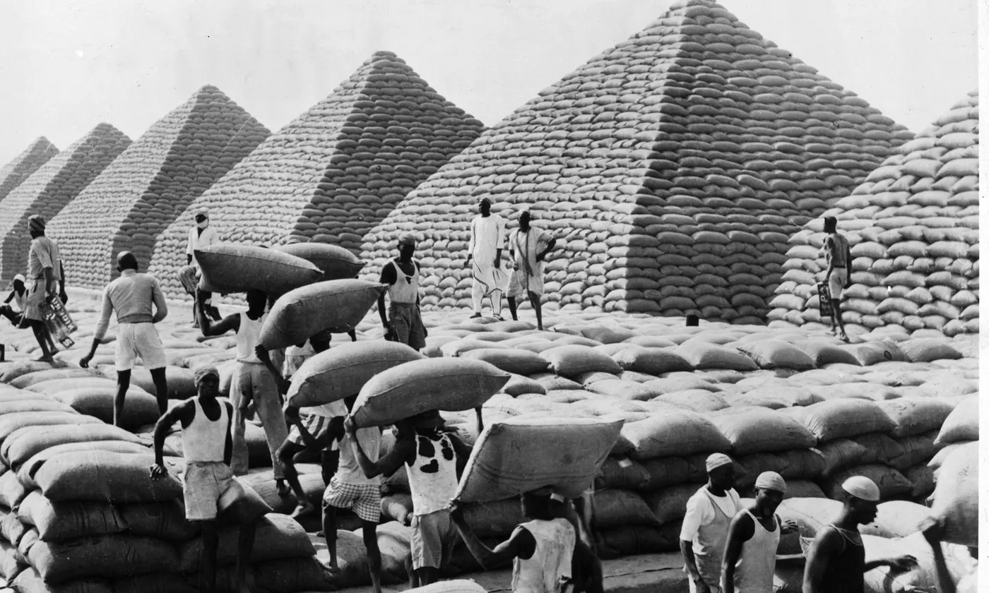 كيف أصبح "الفول السوداني" أرضا خصبة لـ "العبودية" المتوارثة؟