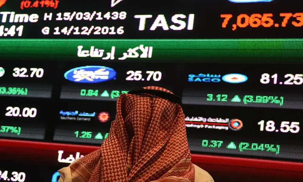 حصة الأفراد من الاكتتابات في 2024