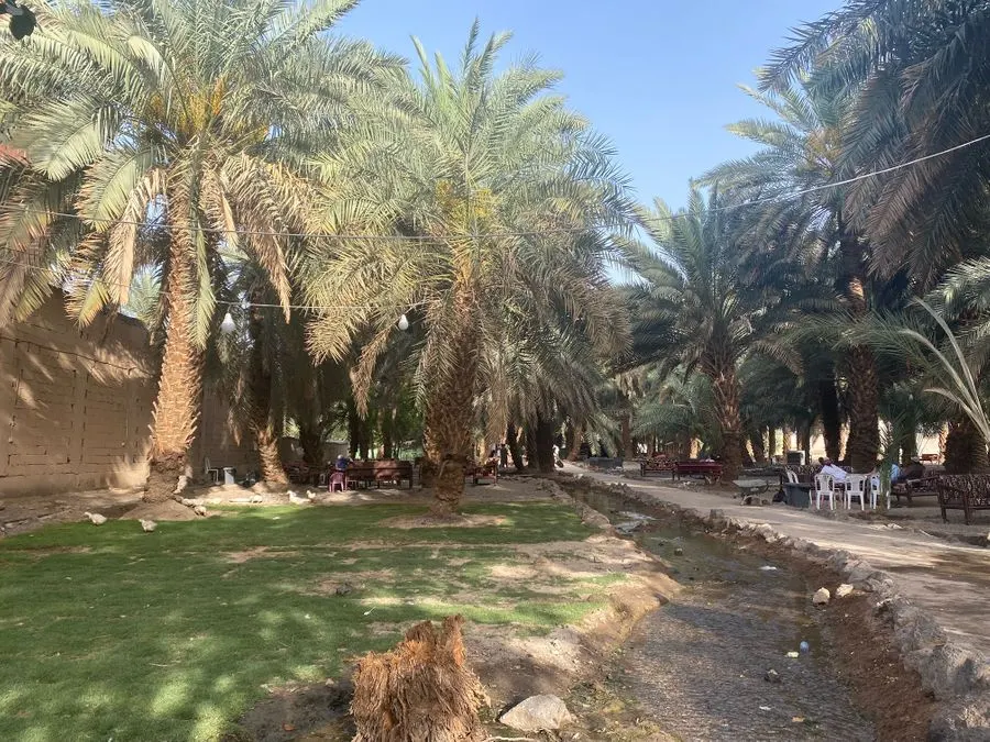 بستان المستظل.. مكان سعودي شاهد على التاريخ ومواقف من السيرة النبوية