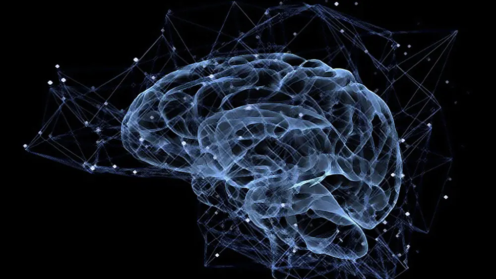 هل الألعاب الذهنية تنمّي قدرات عقلك؟