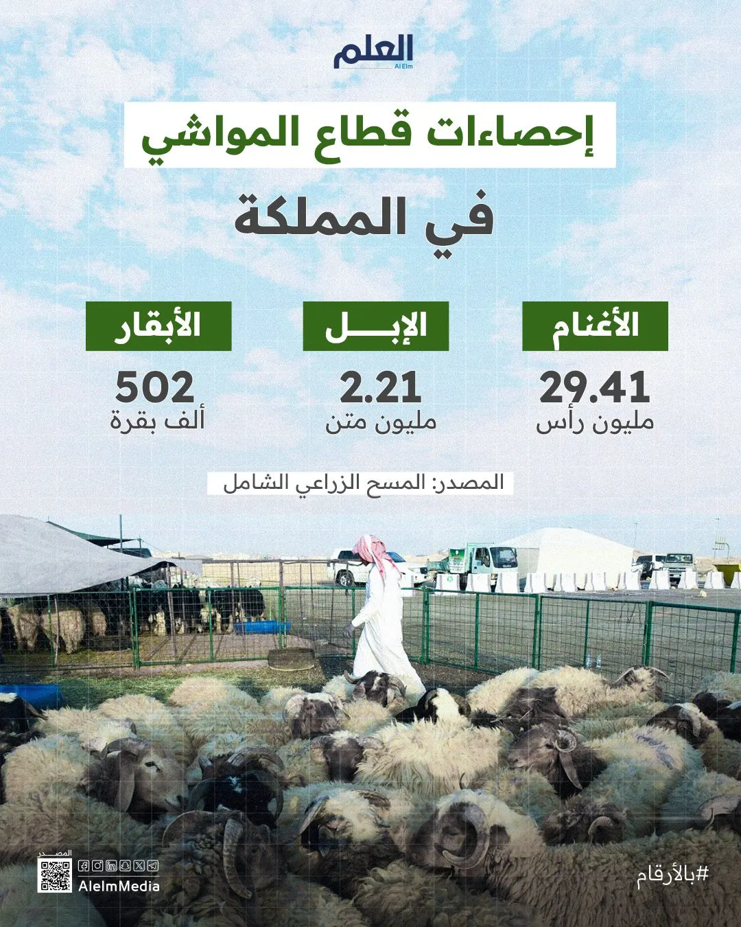 إنفوجرافيك| إحصاءات قطاع المواشي في المملكة