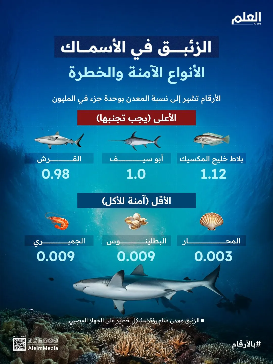 إنفوجرافيك| الزئبق في الأسماك.. الأنواع الآمنة والخطرة