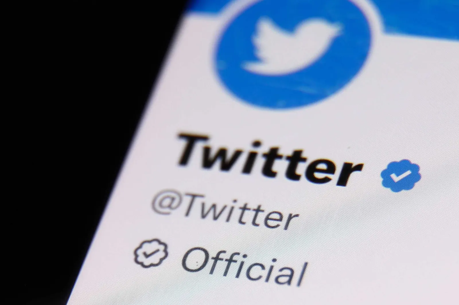 فيديو| لماذا يتفوق Twitter على غيره كمنصة لعرض الأخبار؟.. خبير إعلامي يجيب
