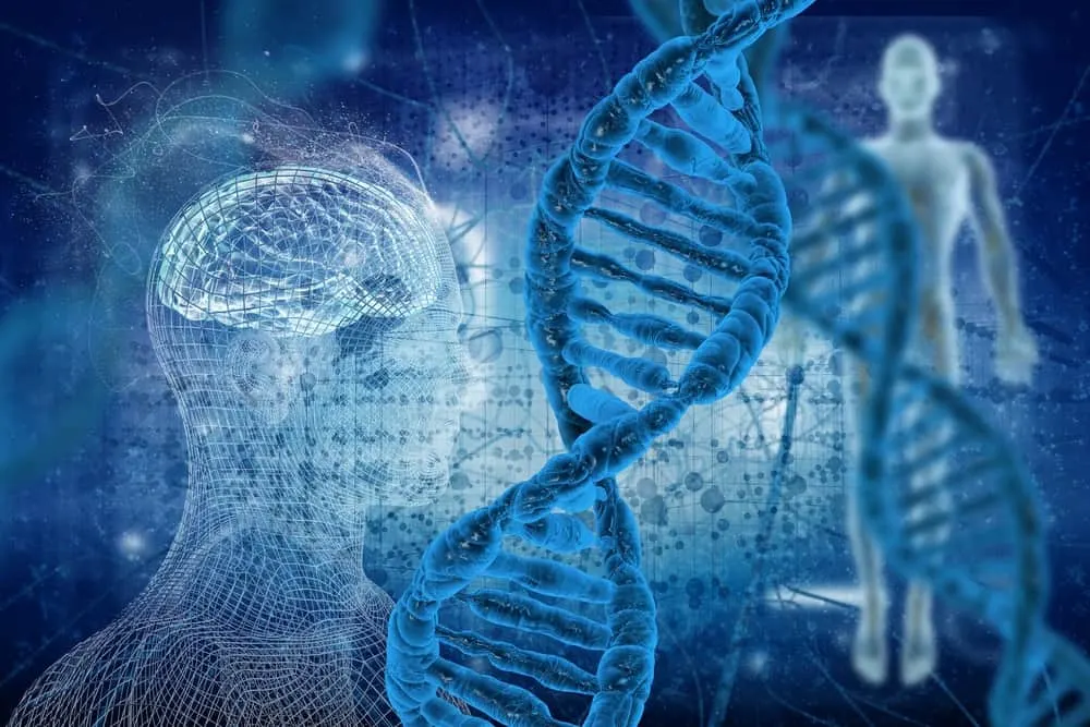 هل يقضي هذا الجين على إنفلونزا الطيور للأبد؟