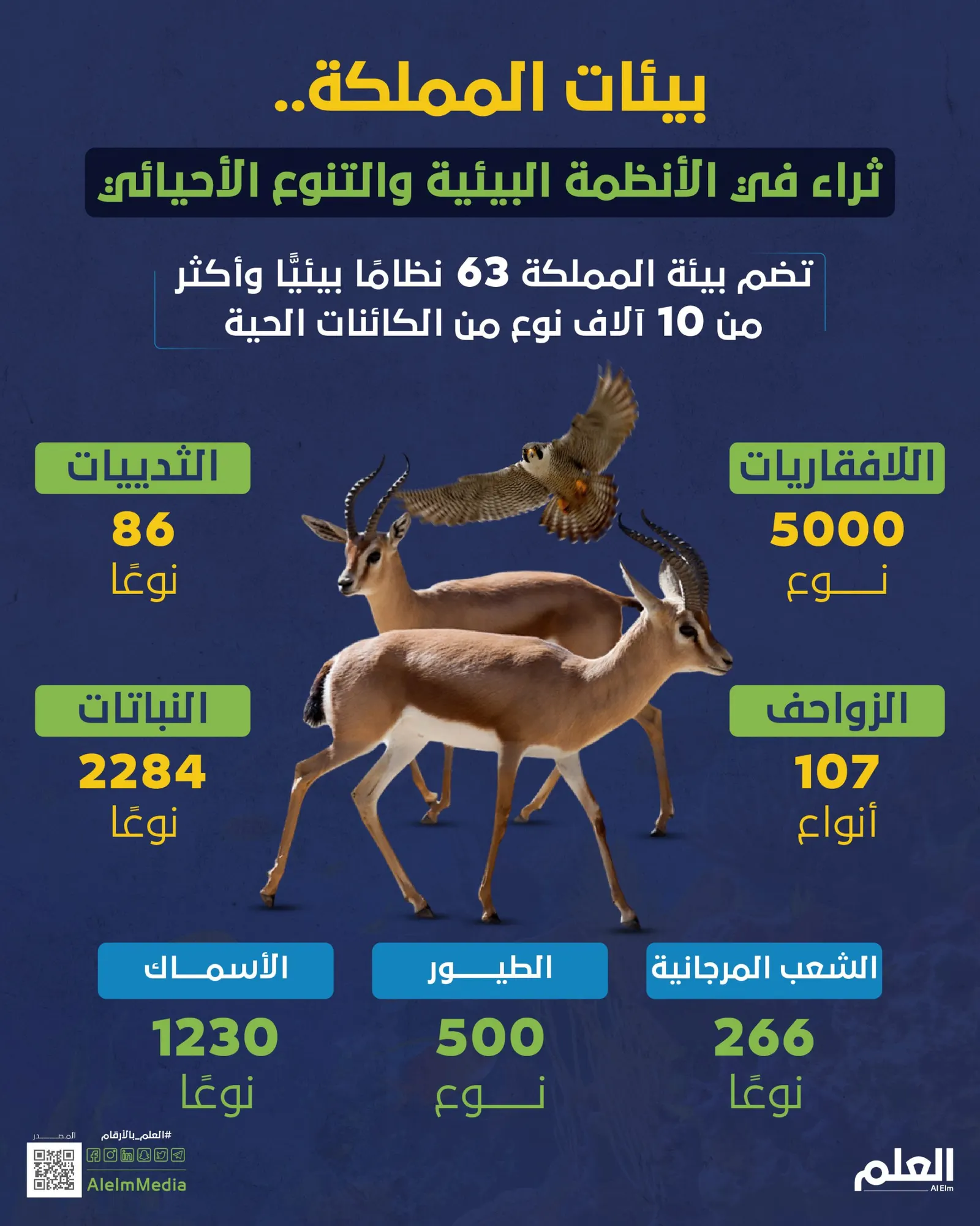 بيئات المملكة.. ثراء في الأنظمة البيئية والتنوع الأحيائي