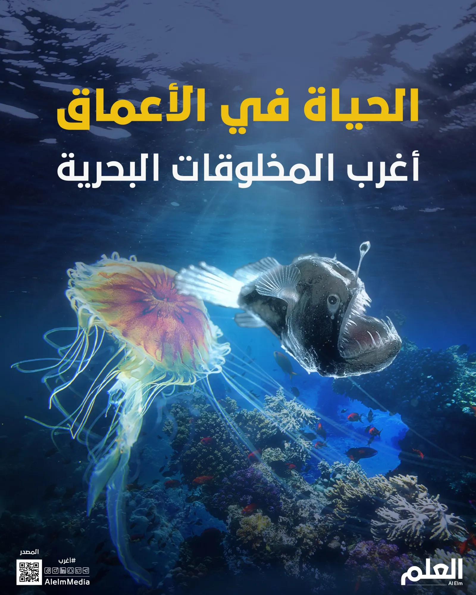 الحياة في الأعماق.. أغرب المخلوقات البحرية