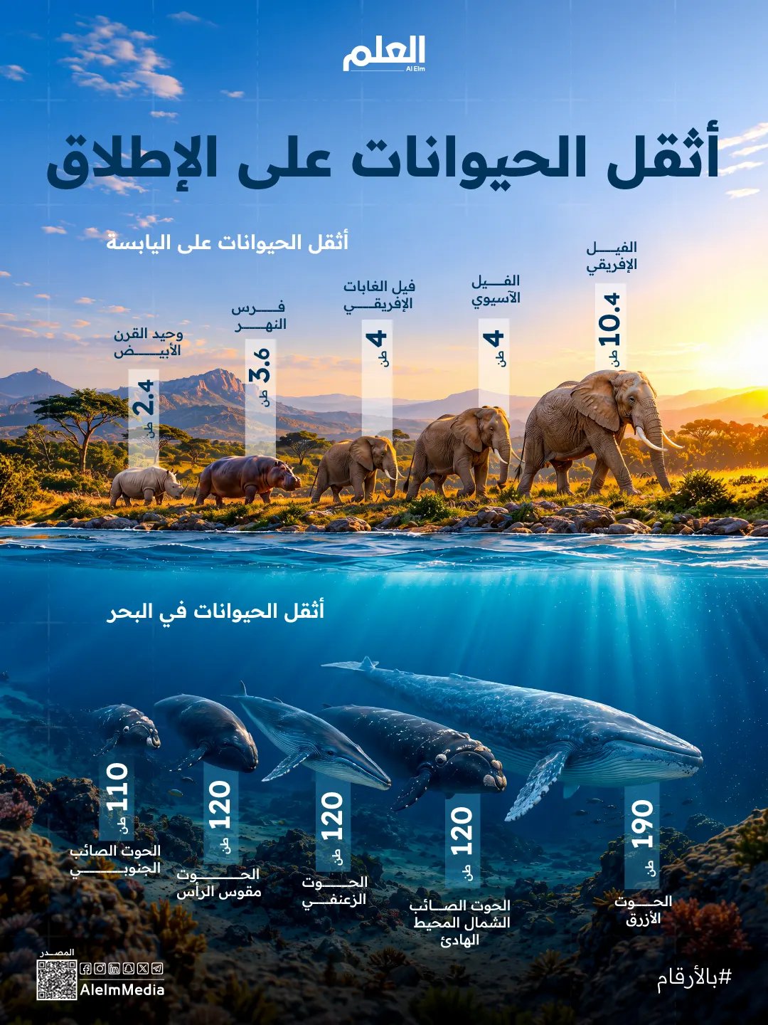 أثقل 10 حيوانات على البر والبحر