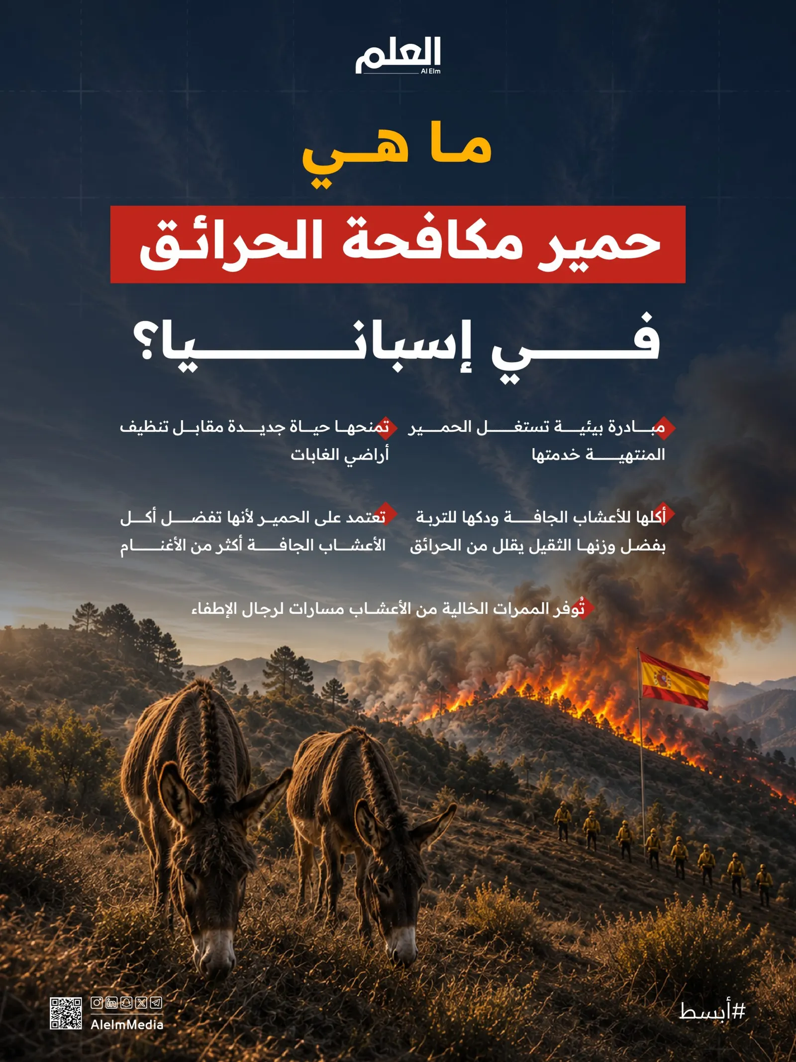 إنفوجرافيك| ما هي "حمير مكافحة الحرائق" في إسبانيا؟