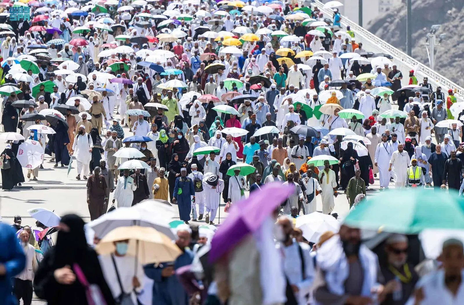 بمختلف مجالات خدمة ضيوف الرحمن.. حج عام 1444 هجرية في أرقام