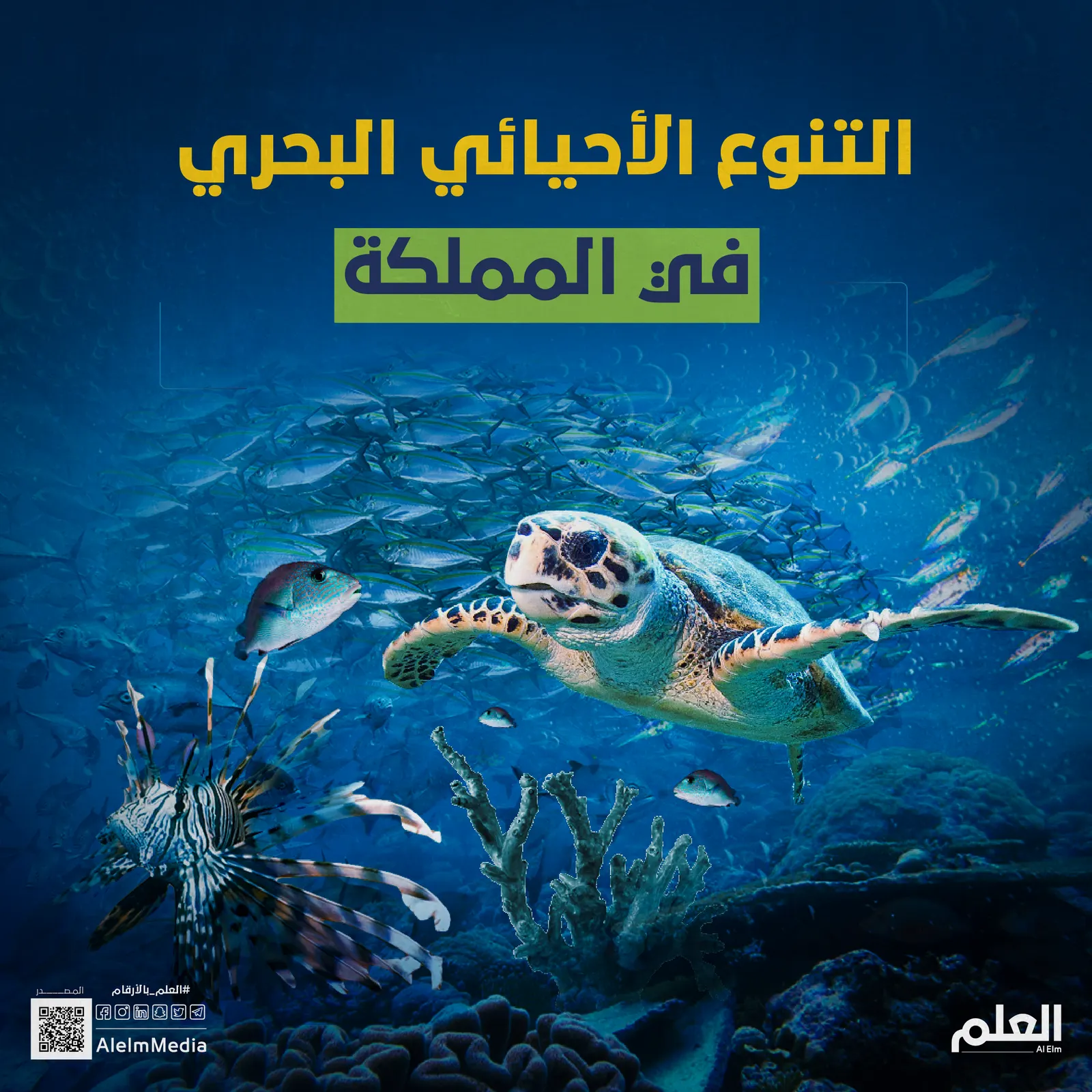 التنوع الأحيائي البحري في المملكة..أبرز الأرقام