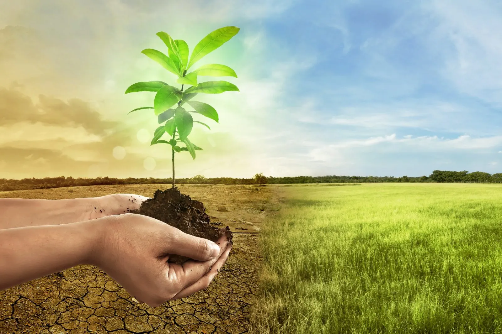 أزمة المناخ في 2025.. أي الدول ستطبق سياسات أكثر صرامة؟