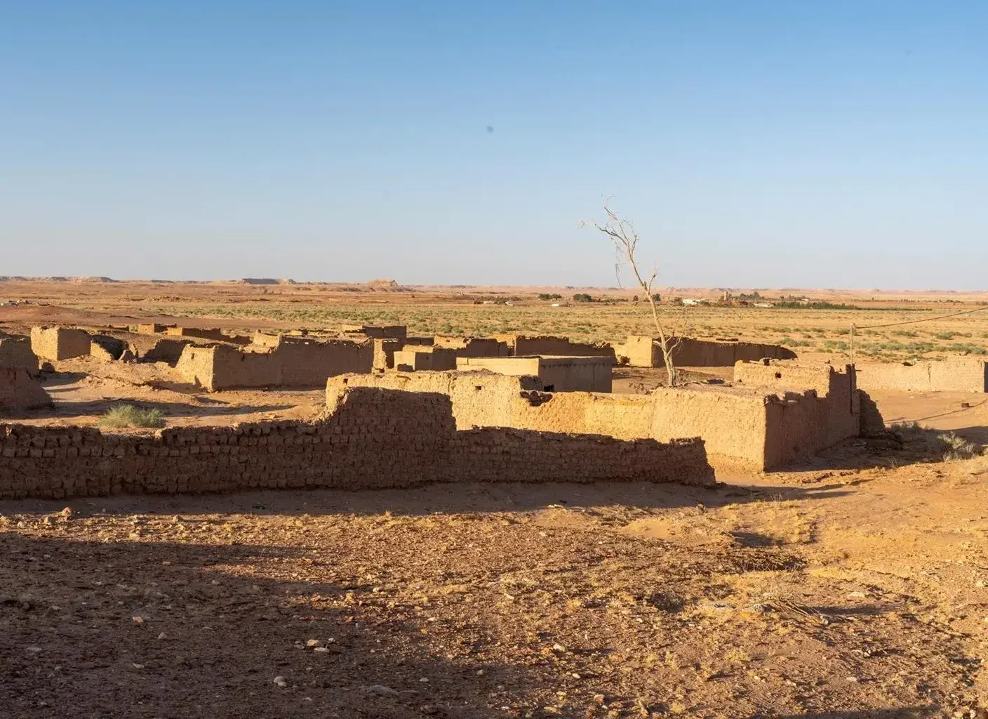 الشويحطية.. موقع أثري بالمملكة بعمر يناهز 1.3 مليون عام