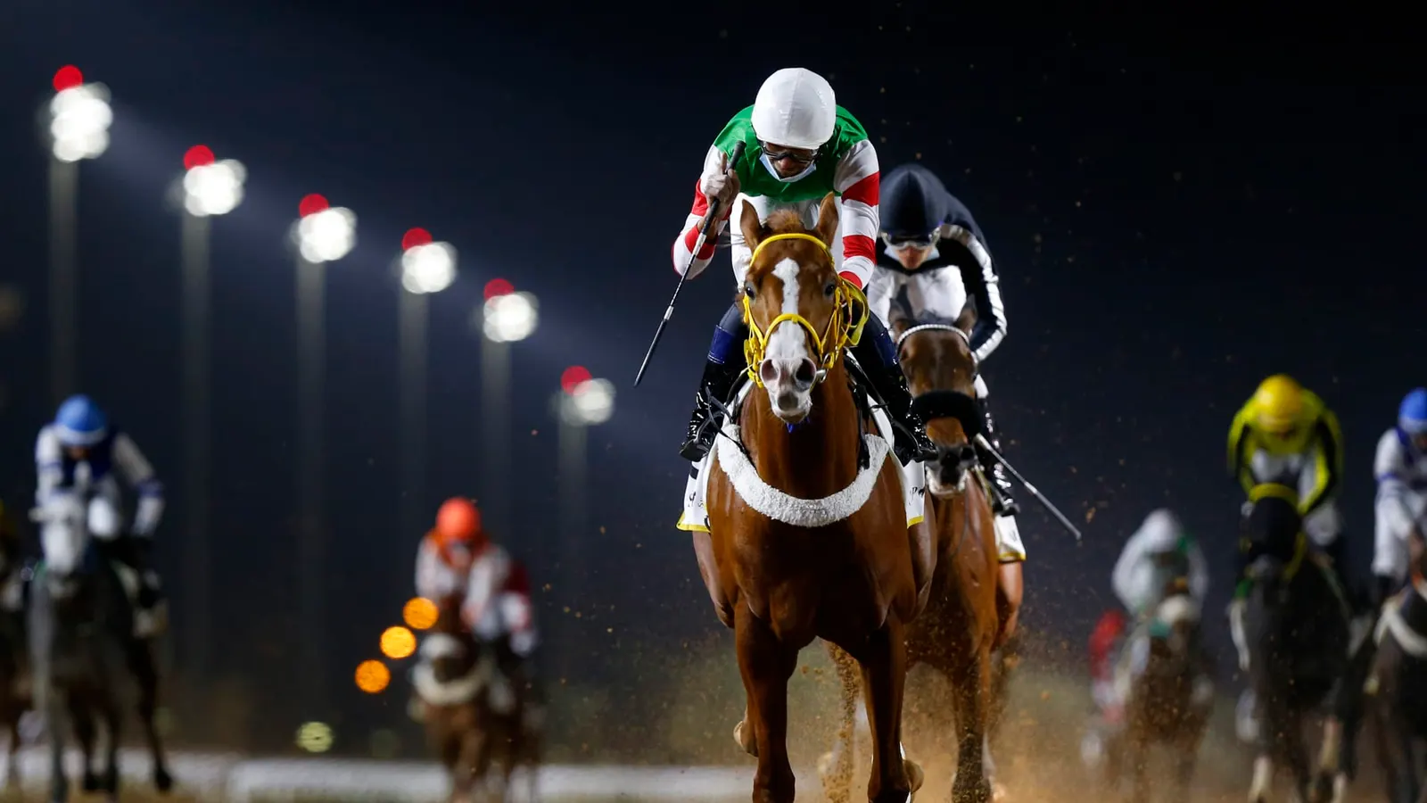 السعودية تنظم أغلى سباقات الخيل في العالم