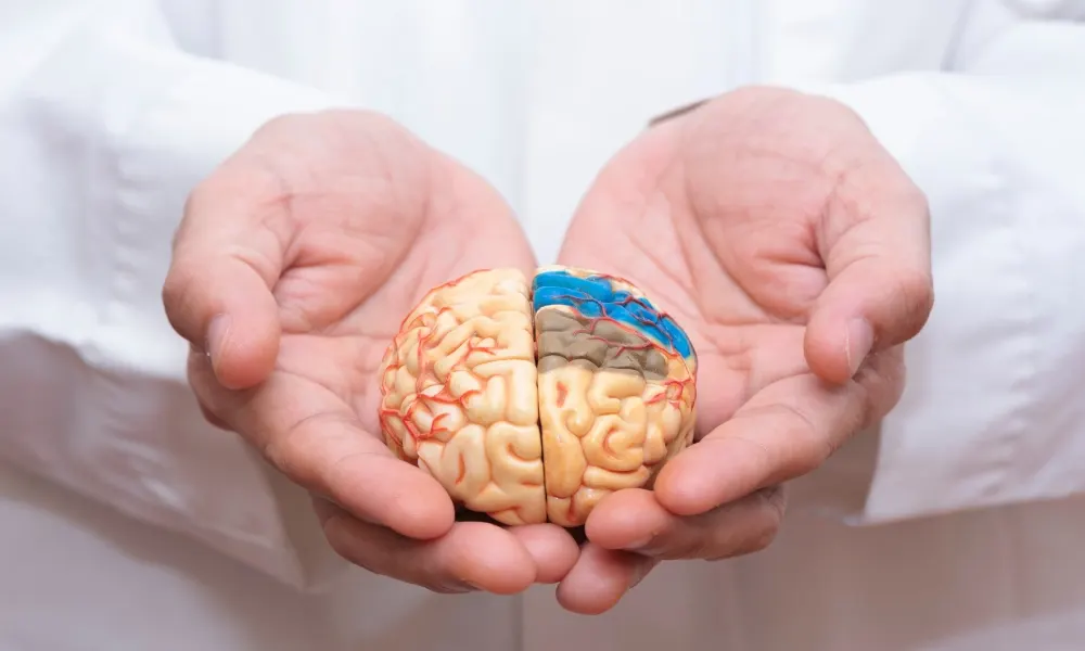 بعد وفاة أمريكية بسببه.. ما هو مرض البريون؟
