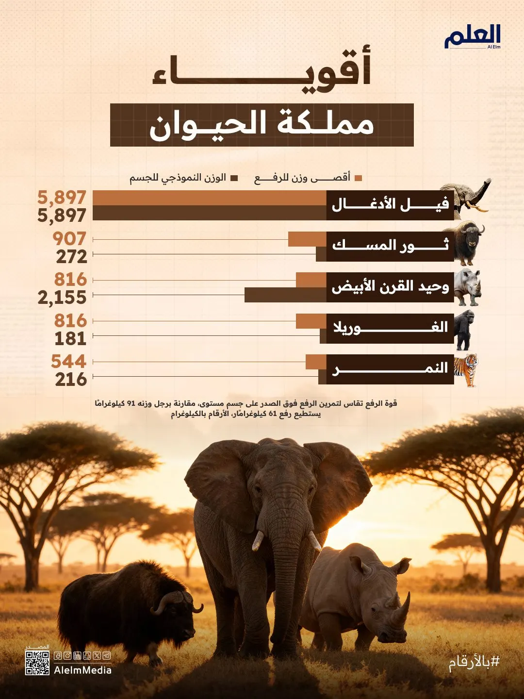 إنفوجرافيك| أقوى الحيوانات في العالم