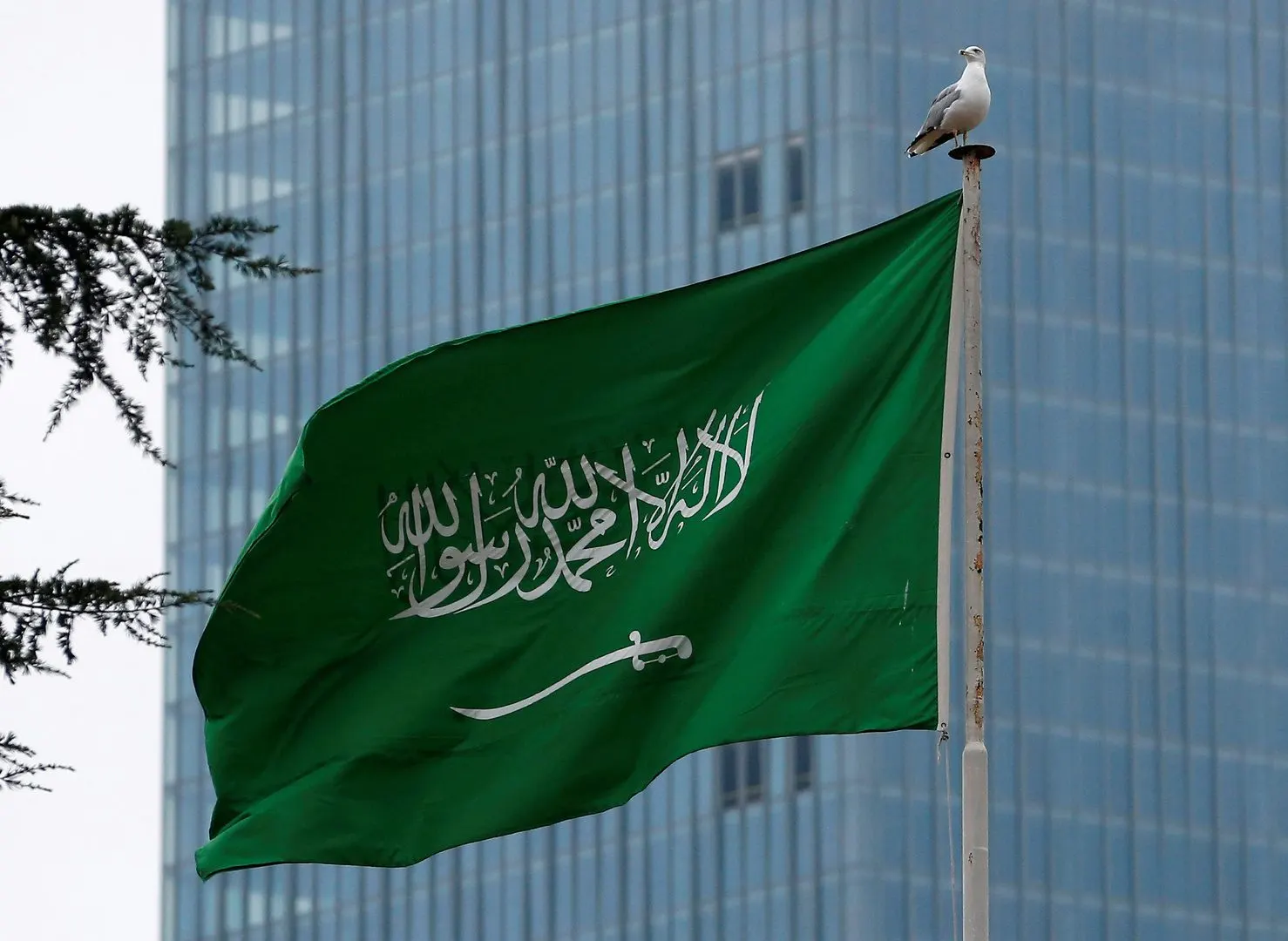 الأفراد والكيانات الإرهابية التي صنفها أمن الدولة السعودي